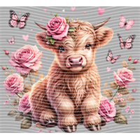 Valentine's Day-QRJ  658